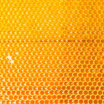 honeycomb