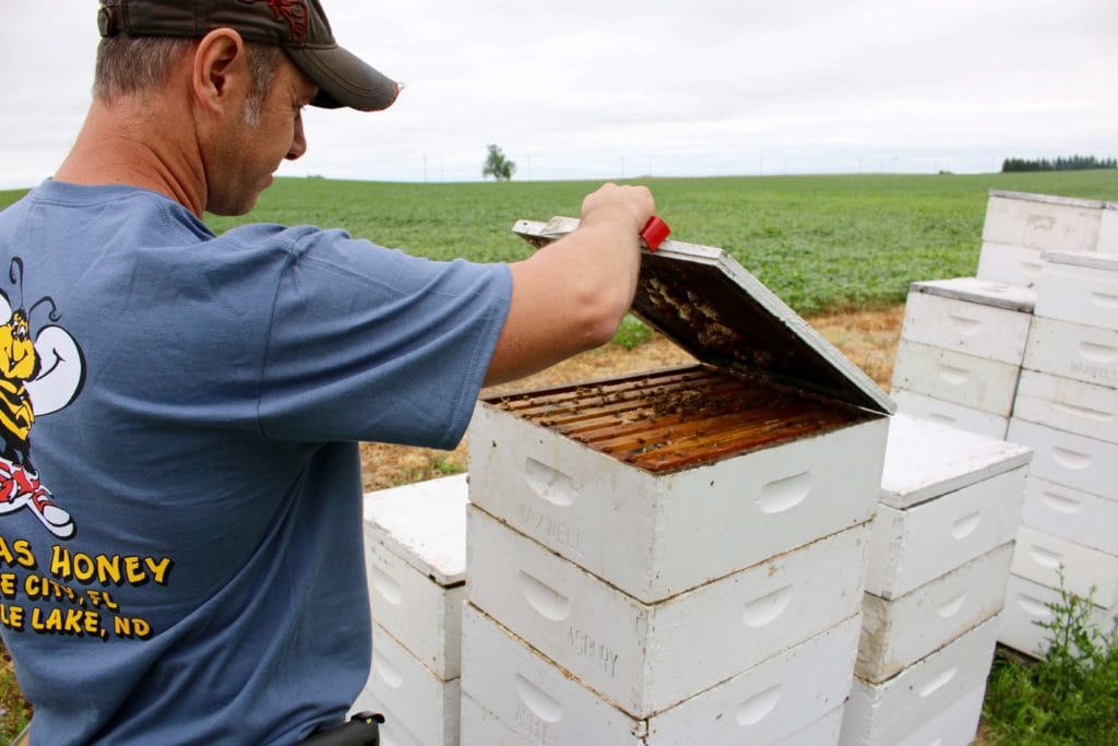 Beekeeper Mason Maxwell